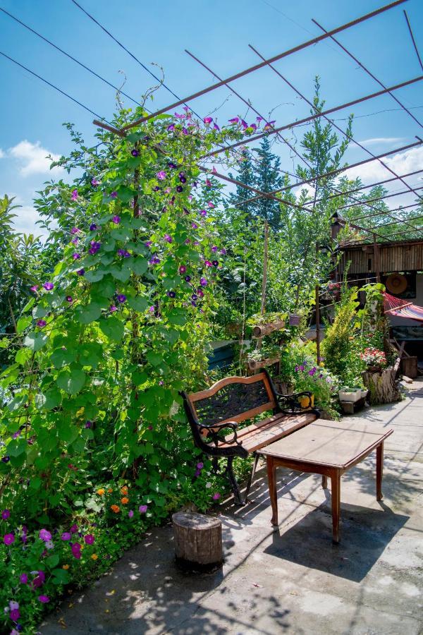 4 Rooms Siğnaği Dış mekan fotoğraf