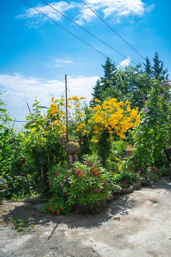 4 Rooms Siğnaği Dış mekan fotoğraf